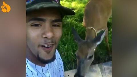 国产一只小嘤嘤在线