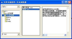 在线观看国产精品vb,在线观看的视听盛宴