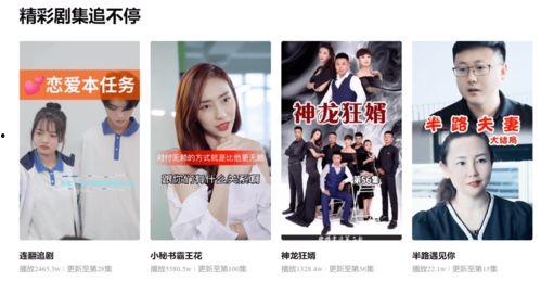 国产网站看剧在线观看