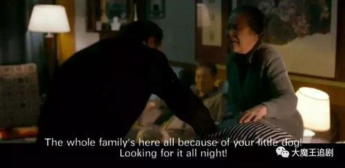 国产国语毛片在线播,揭秘网络影视的灰色地带