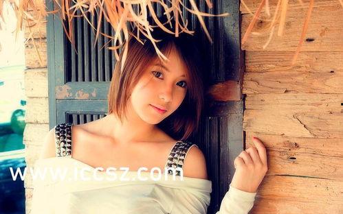 国产日韩高清在线探花